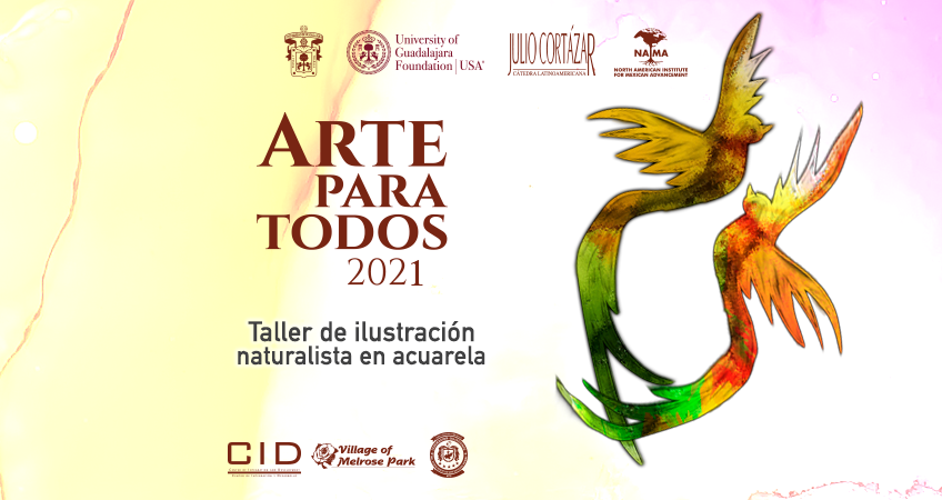 Taller: Ilustración naturalista en acuarela